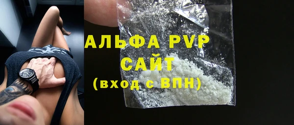 стафф Новокубанск