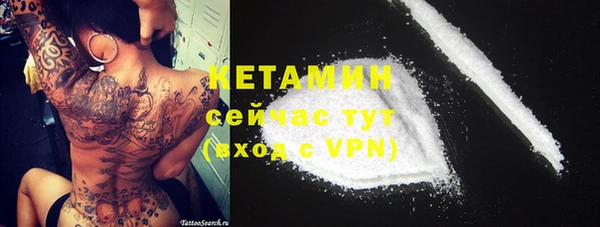 таблы Новозыбков