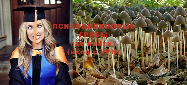 таблы Новозыбков