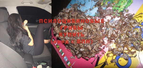 Альфа ПВП Новодвинск
