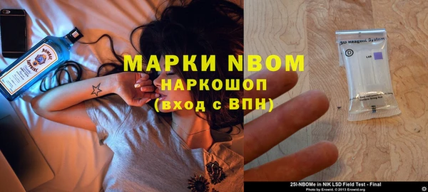 таблы Новозыбков