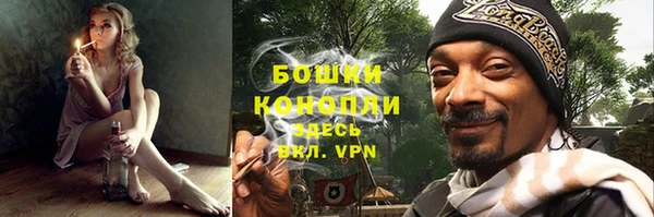 стафф Новокубанск