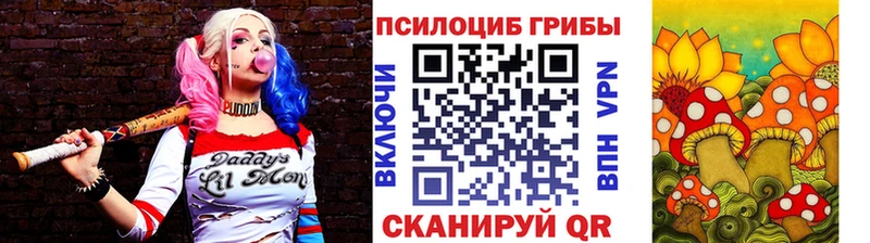 закладки  Сертолово  ссылка на мегу маркетплейс  Галлюциногенные грибы Cubensis 